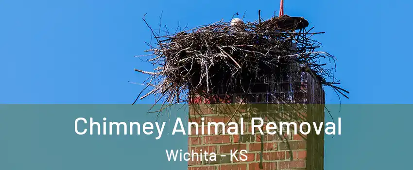  Chimney Animal Removal Wichita - KS