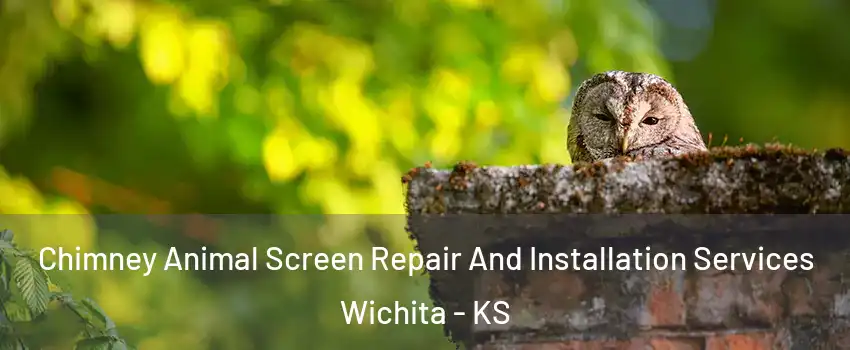  Chimney Animal Screen Repair And Installation Services Wichita - KS