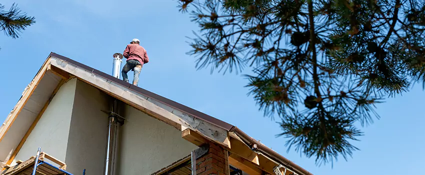 Birds Removal Contractors from Chimney in Wichita, KS