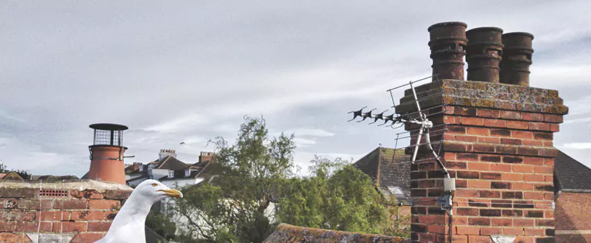 Chimney Cleaning And Restoration in Wichita, Kansas